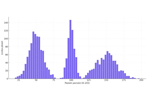 Histogram